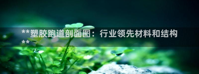 谈球吧网页登陆：**塑胶跑道剖面图：行业领先材料和结