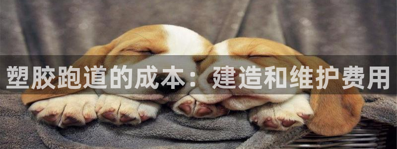 谈球吧app靠谱吗：塑胶跑道的成本：建造和维护费用