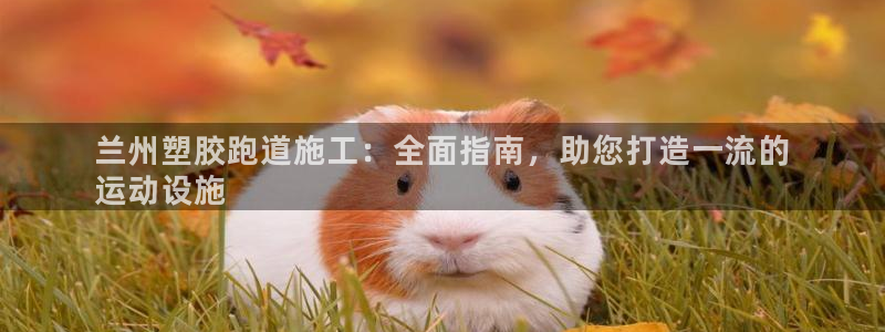 谈球吧官网下载：兰州塑胶跑道施工：全面指南，助您打造