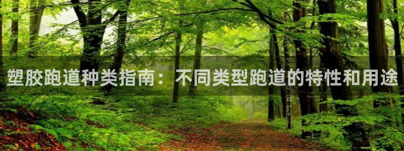 谈球吧体育赛事：塑胶跑道种类指南：不同类型跑道的特性