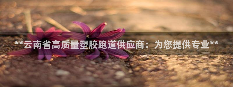 谈球吧算违法行为吗：**云南省高质量塑胶跑道供应商：为您提供专业**