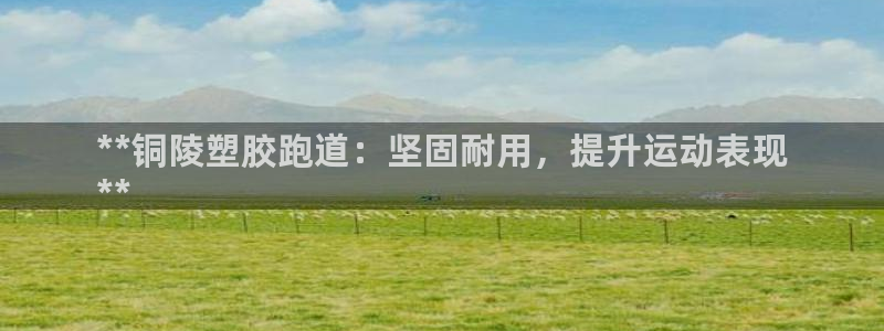 谈球吧app赛事分析报告：**铜陵塑胶跑道：坚固耐用，提升运动表现
**