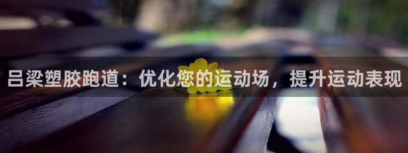 谈球吧全站app下载：吕梁塑胶跑道：优化您的运动场，提升运动表现