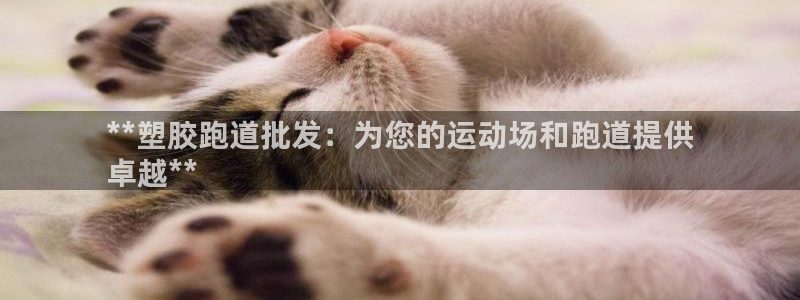 谈球吧平台正规吗可信吗知乎：**塑胶跑道批发：为您的运动场和跑道提供
卓越**