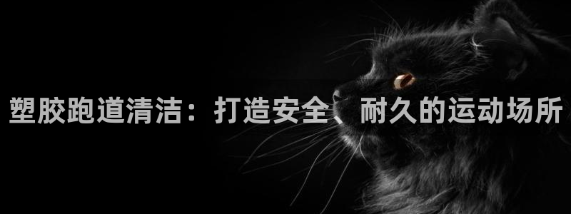 谈球吧-体育赛事：塑胶跑道清洁：打造安全、耐久的运动