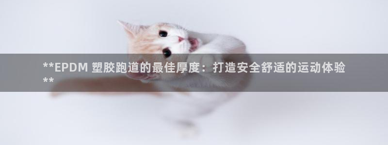 谈球吧平台app下载网址是多少：**EPDM 塑胶跑道的最佳厚度：打造安全舒适的运动体验
**