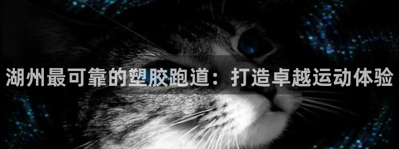 谈球吧算违法行为吗知乎：湖州最可靠的塑胶跑道：打造卓越运动体验