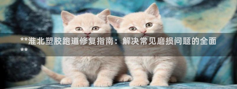 谈球吧体育app下载中心官方网站：**淮北塑胶跑道修复指南：解决常见磨损问题的全面
**