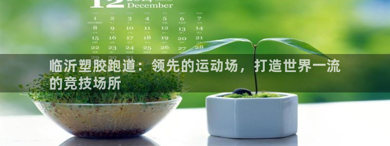 谈球吧平台app：临沂塑胶跑道：领先的运动场，打造世界一流
的竞技场所