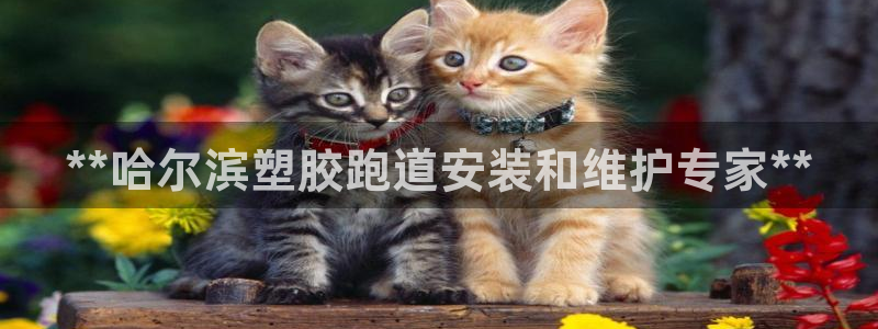 谈球吧体育app下载官网安卓：**哈尔滨塑胶跑道安装