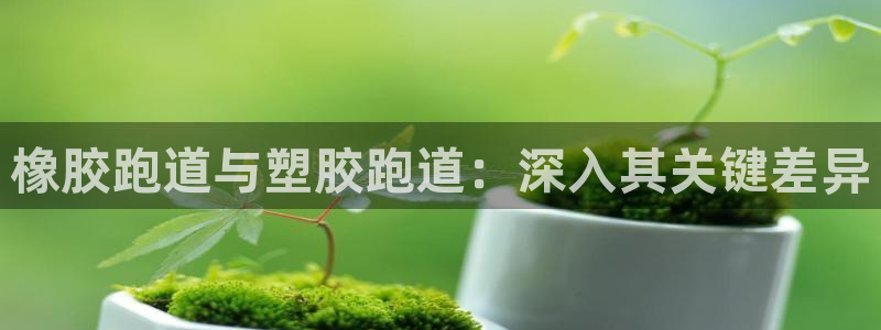 谈球吧APP：橡胶跑道与塑胶跑道：深入其关键差异