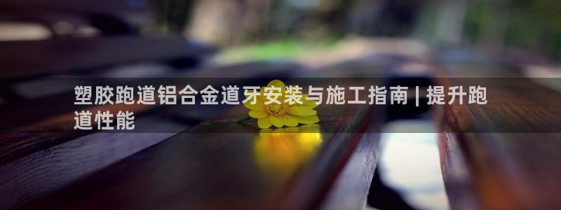 谈球吧是否诈骗：塑胶跑道铝合金道牙安装与施工指南 | 提升跑
道性能