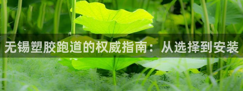 谈球吧的聊天软件有哪些：无锡塑胶跑道的权威指南：从选择到安装