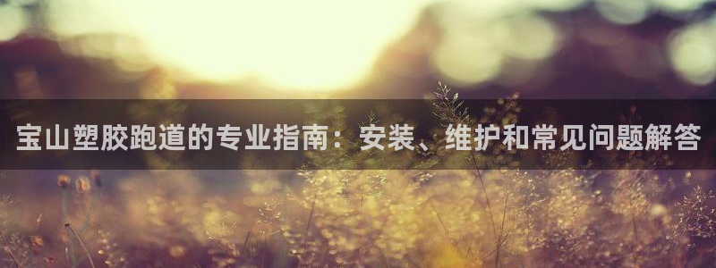 谈球吧中国官方网站：宝山塑胶跑道的专业指南：安装、维护和常见问题解答