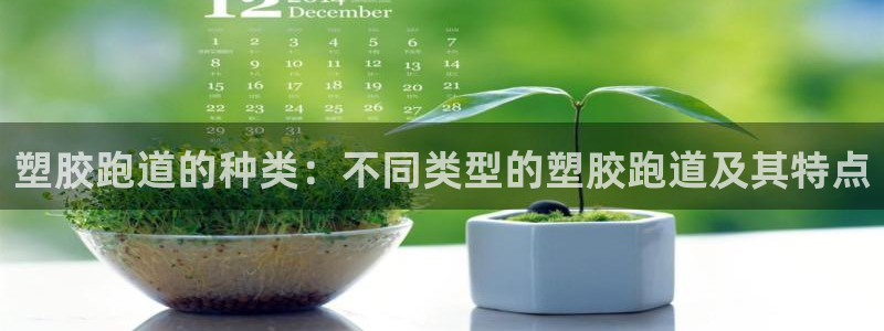 谈球吧体育app官网：塑胶跑道的种类：不同类型的塑胶跑道及其特点