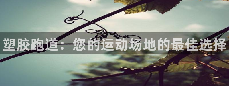 谈球吧在线观看：塑胶跑道：您的运动场地的最佳选择