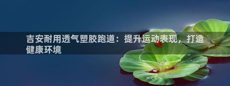 谈球吧官网在线入口手机版免费下载：吉安耐用透气塑胶跑道：提升运动表现，打造
健康环境