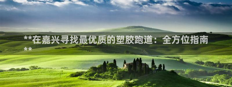 谈球吧是黑台子吗知乎小说：**在嘉兴寻找最优质的塑胶跑道：全方位指南
**