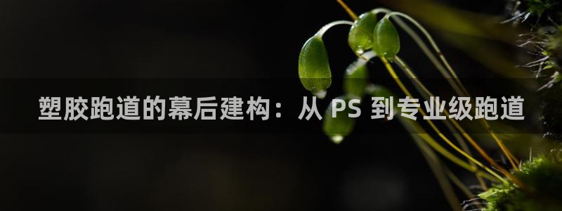 谈球吧红包激活码：塑胶跑道的幕后建构：从 PS 到专