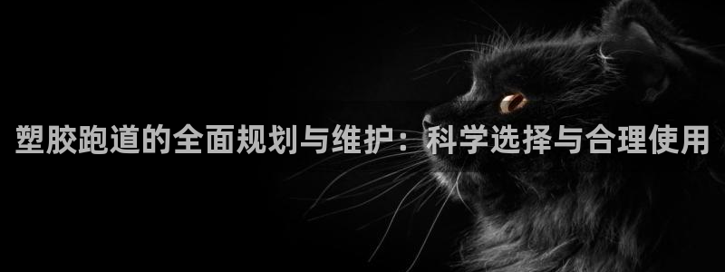 谈球吧体育app下载足球比赛