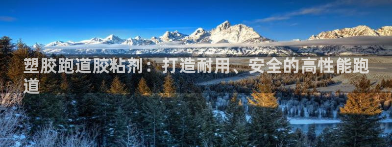 谈球吧买球靠谱吗：塑胶跑道胶粘剂：打造耐用、安全的高性能跑
