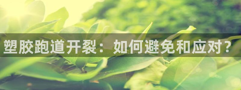 谈球吧综合官网app