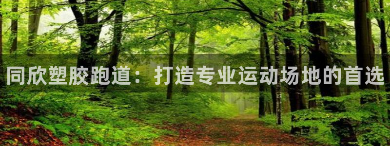 谈球吧官网app：同欣塑胶跑道：打造专业运动场地的首