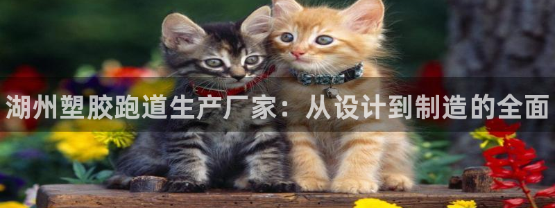 谈球吧综合官网app