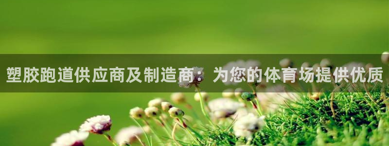 谈球吧全站app下载手机版：塑胶跑道供应商及制造商：