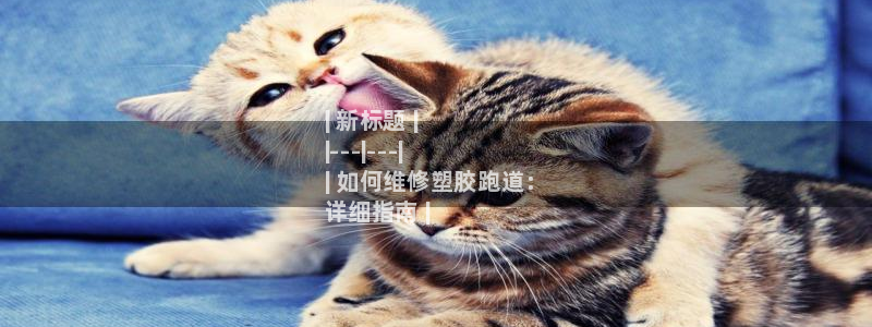 谈球吧体育app下载官网手机版安装：| 新标题 |
