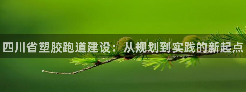 谈球吧打不开了