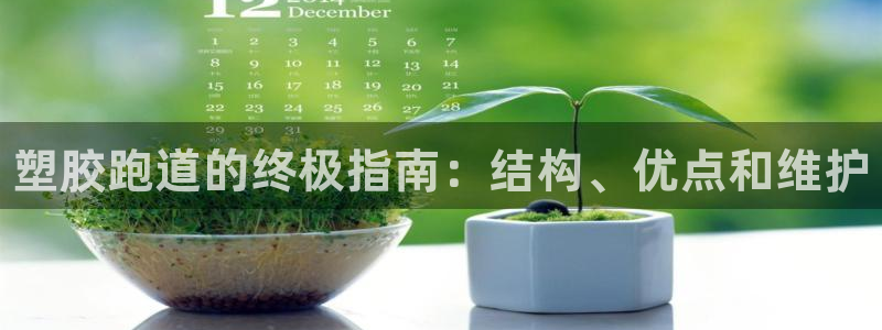 谈球吧是正规平台吗：塑胶跑道的终极指南：结构、优点和