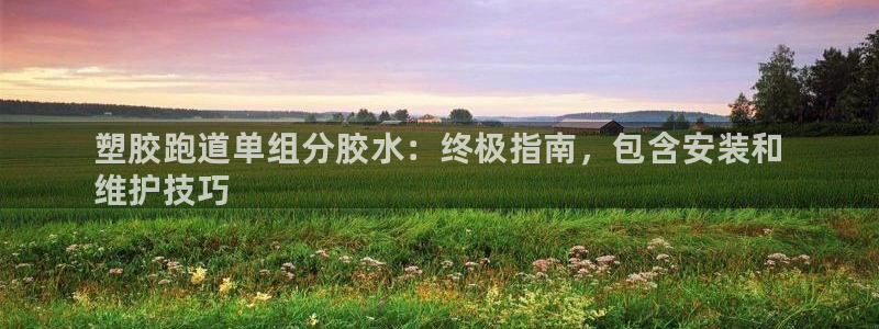 谈球吧网页版：塑胶跑道单组分胶水：终极指南，包含安装和
维护