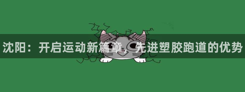 谈球吧app体育下载官网：沈阳：开启运动新篇章，先进塑胶跑道