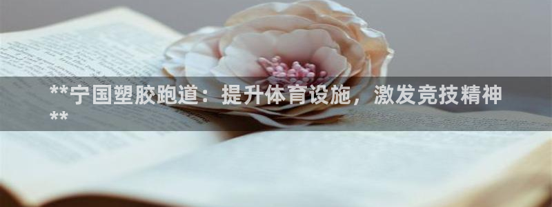 谈球吧娱乐app下载官网苹果：**宁国塑胶跑道：提升