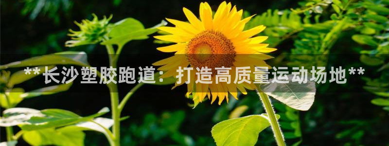 谈球吧APP：**长沙塑胶跑道：打造高质量运动场地**