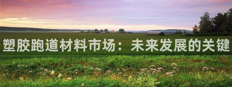 谈球吧是黑台子吗还是白台子好：塑胶跑道材料市场：未来