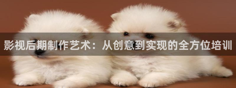爱迅播影院：影视后期制作艺术：从创意到实现的全方位培训