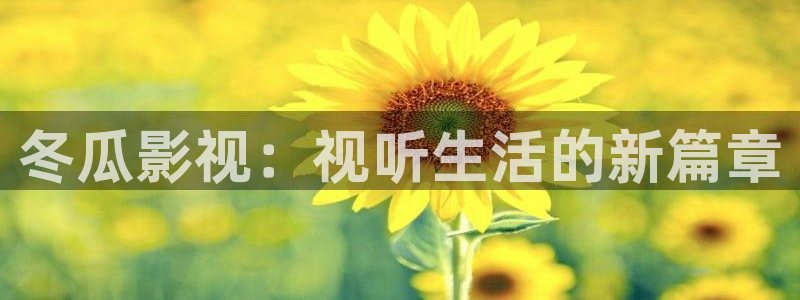 迅播影院在线：冬瓜影视：视听生活的新篇章