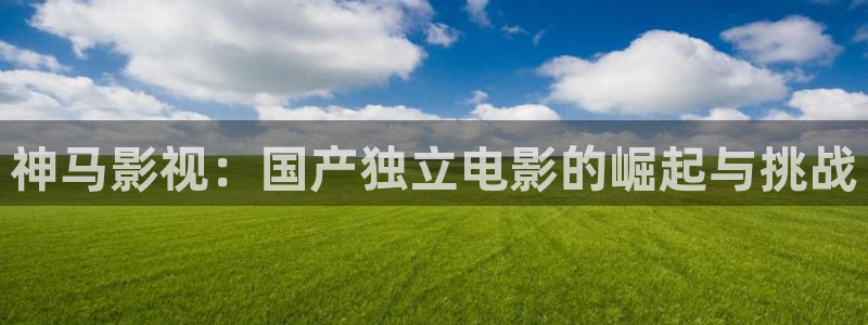 理论片迅播影院