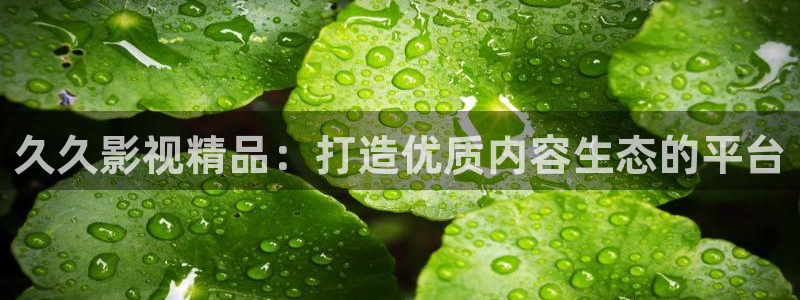 迅播影院电视剧免费