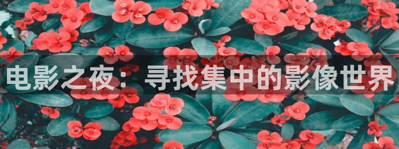 迅播影院官网首页