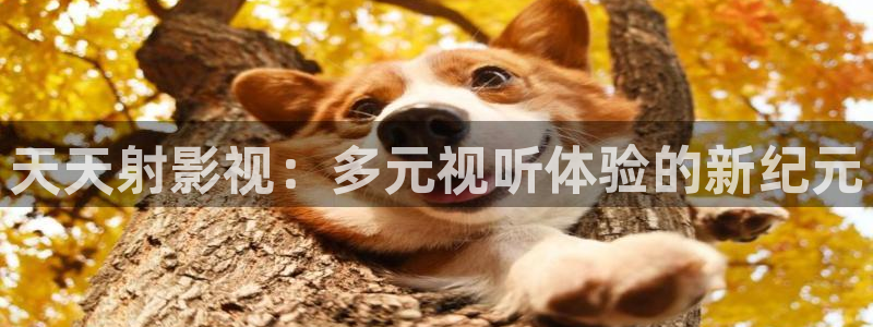 迅播影院电视剧免费