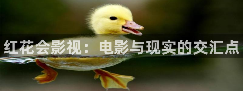 www.迅播影院