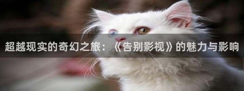 迅播影院在线看