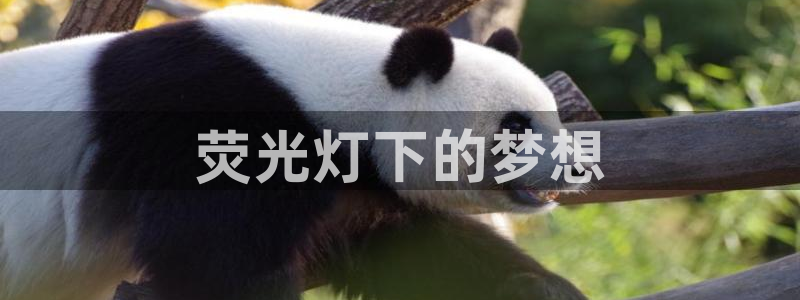 迅播影院电视剧
